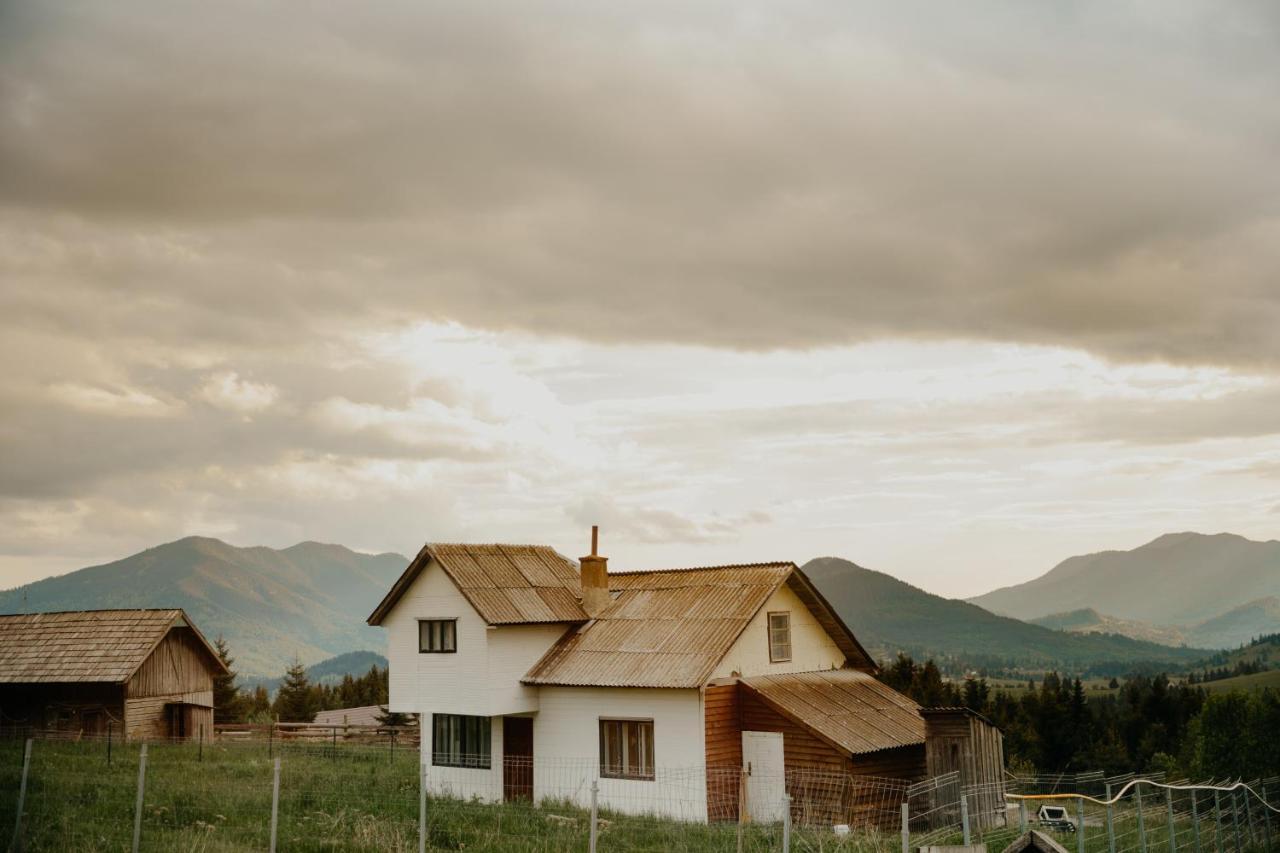 Popasul Transilvania Piatra Fântânele Exterior foto