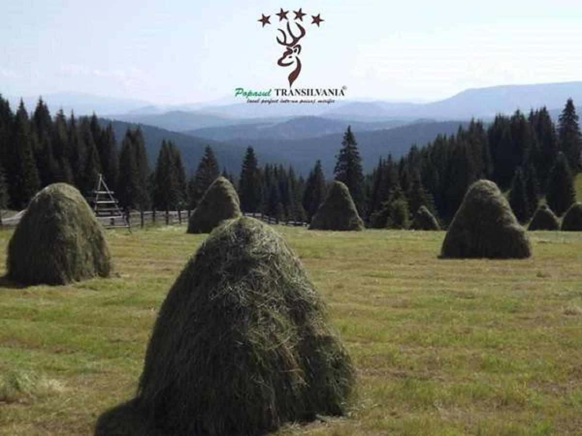 Popasul Transilvania Piatra Fântânele Exterior foto